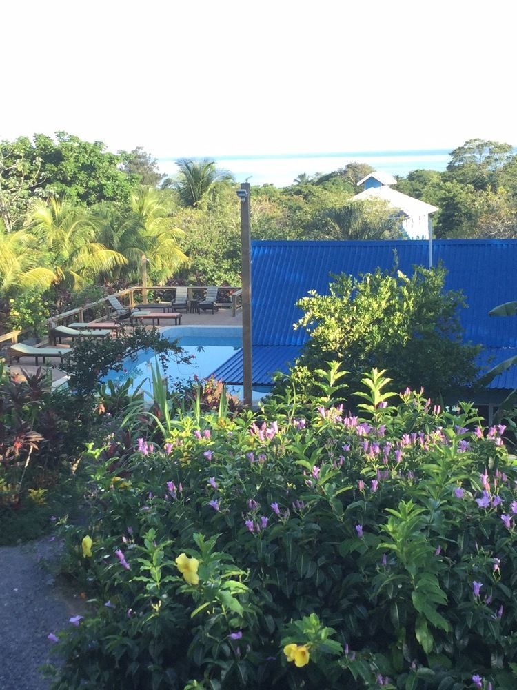 Guava Grove Resort & Villas Sandy Bay Ngoại thất bức ảnh
